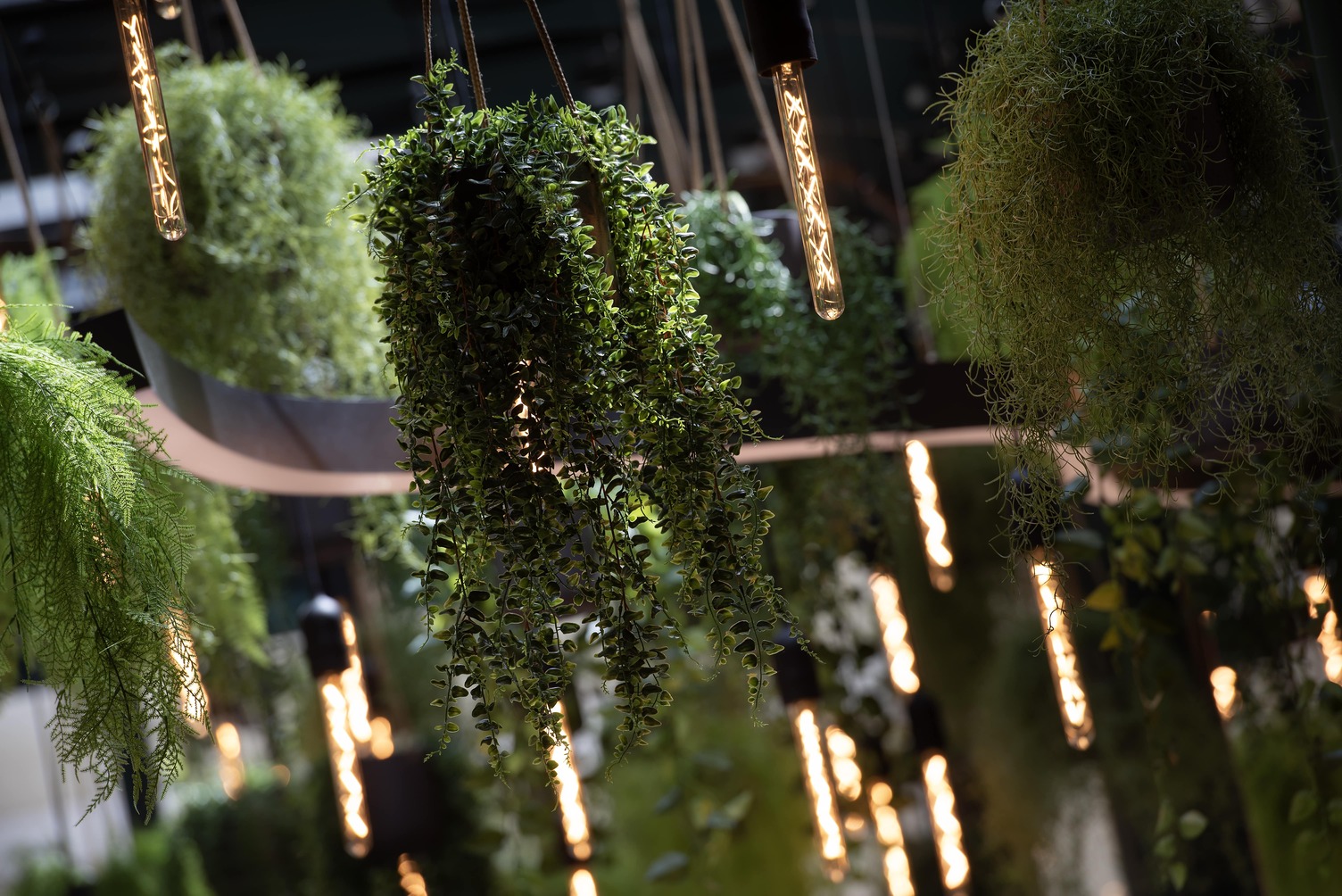 U Malvaze restaurant interior